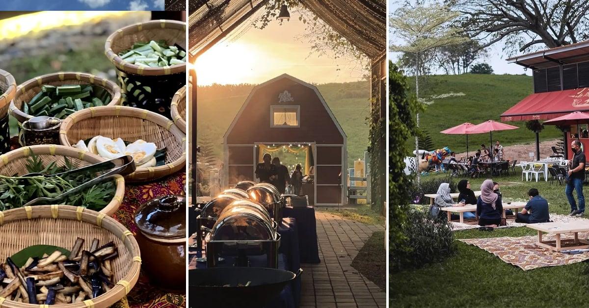 A description of the image