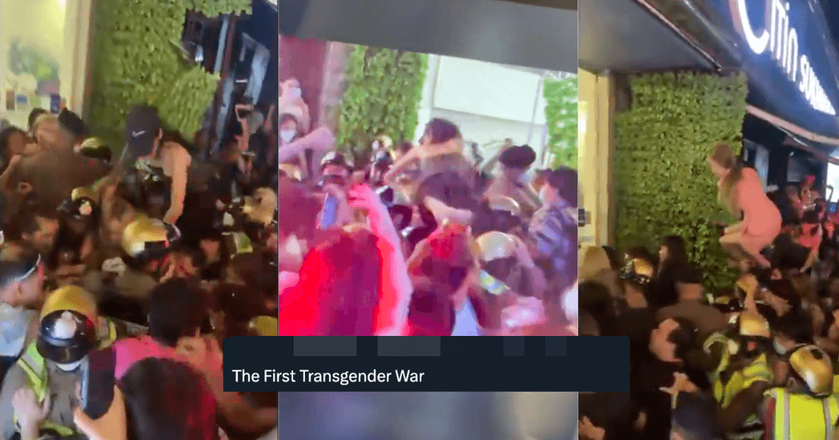 A description of the image