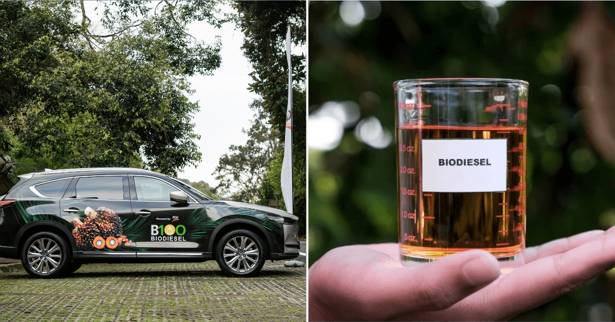 “From The Plantation To Your Car” — Here Are 4 Things Malaysians Need ...