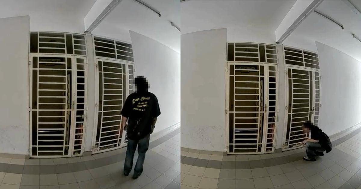 A description of the image
