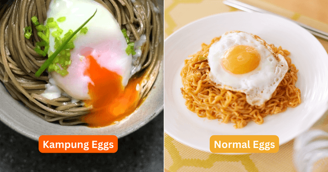 Why Are Kampung Egg Yolks More Orange Than Normal Ones?