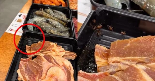 Woman Finds Live Cockroaches Crawling In Plate Of Raw Meat At KBBQ In Cheras Mall
