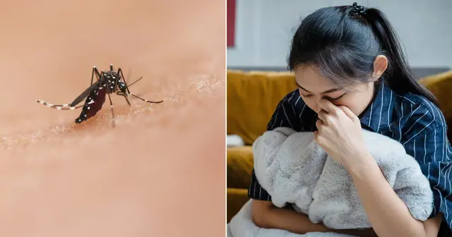 A High Fever Could Be More Than Just A Fever. Here’s What To Know About Dengue