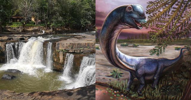 Fosil Dinosaur Sauropod Terbesar Asia Tenggara Dilaporkan Ditemui Di Thailand Oleh Penyelidik